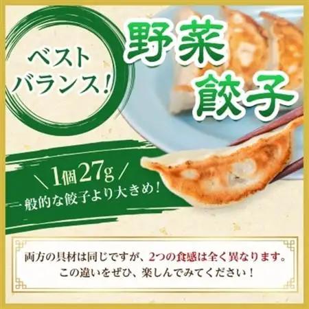 佐野餃子(大)10個2人前×2パックと佐野餃子(中)24個4人前×2袋_餃子 ぎょうざ 佐野餃子 野菜餃子 栃木県 佐野 おつまみ おかず 人気 おすすめ 送料無料 贈答 ギフト 冷凍_【配送不可地域