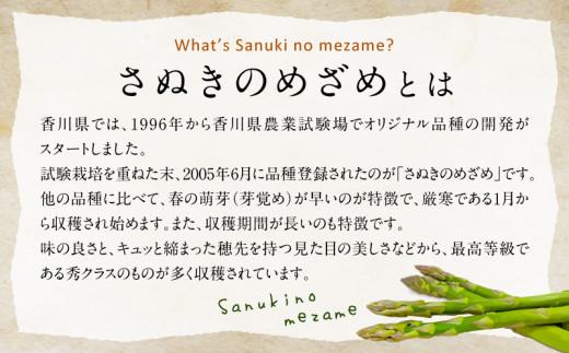 柔らかさと甘みが際立つ さぬきのめざめセミロング30cm(Lサイズ以上)約1.3kg【2024-6月上旬～2024-6月下旬配送】