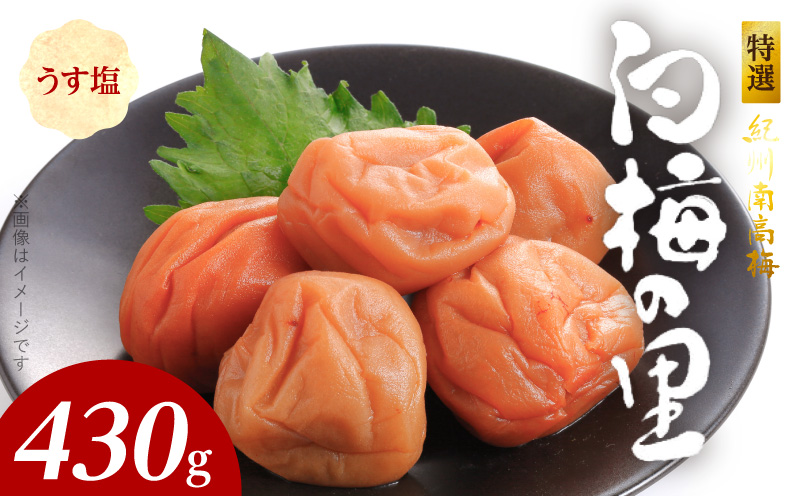 SF2008_特選紀州南高梅「白梅の里」うす塩味　430ｇ