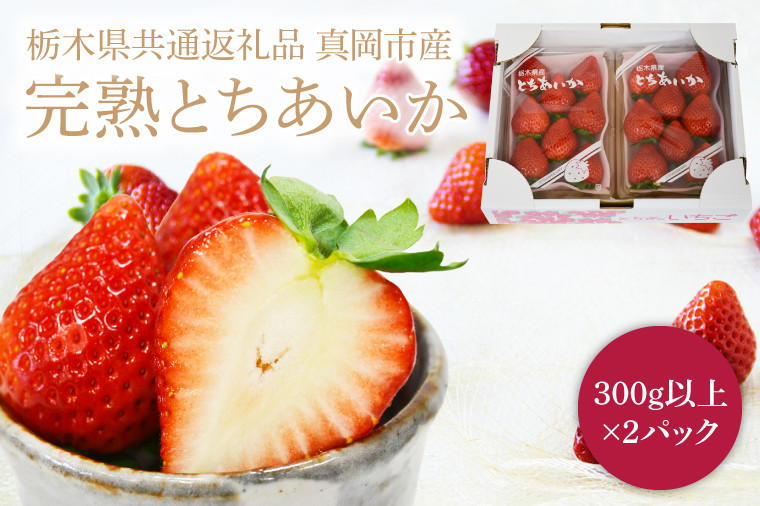 
                  【2027年1月発送開始】【先行予約】【数量限定】完熟とちあいか　約600g【栃木県共通返礼品/真岡市産】｜栃木県 ふるさと納税 いちご イチゴ 苺 果物 フルーツ とちあいか 熟成 (DM001)
                