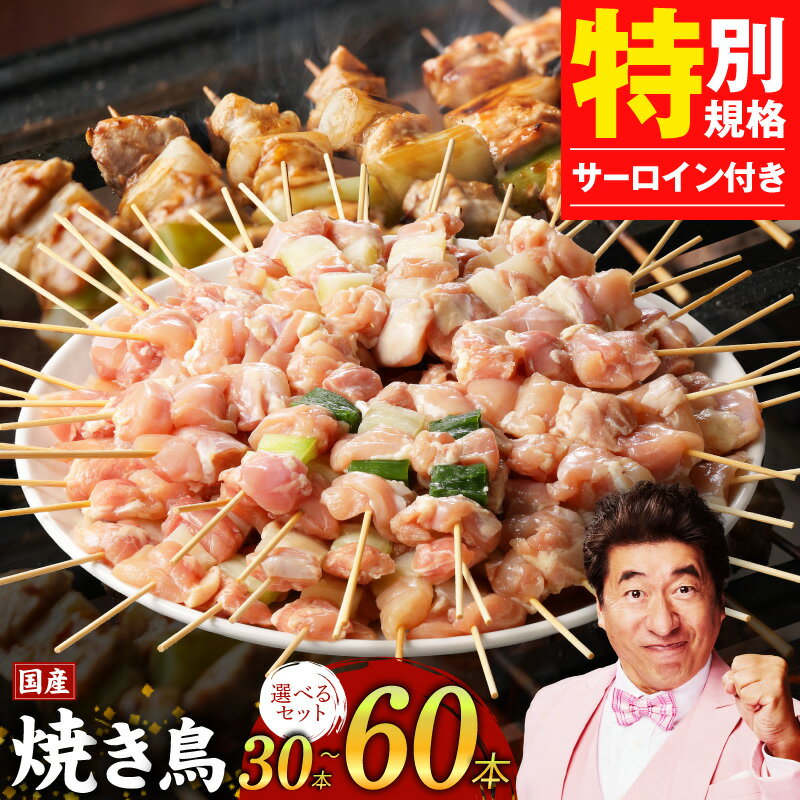 【ふるさと納税】焼鳥 バーベキュー BBQ キャンプ アウトドア 惣菜 小分け 鶏肉 お肉 国産 簡単 調理 おつまみ 酒の肴 焼鳥丼 サーロインステーキ 250g 食品 食べ物 お取り寄せ お取り寄せグルメ 関西 すぐ届く 大阪府 泉佐野市 冷凍 送料無料 肉の泉佐野 圧倒的企業努力