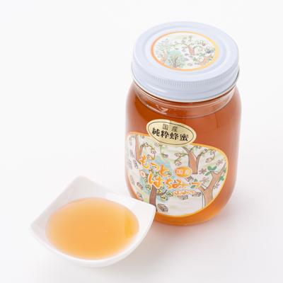 ふるさと納税 津山市 津山市産 山蜂蜜　600g |  | 03