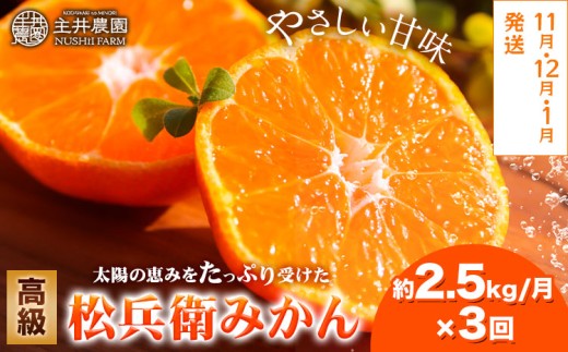 【3回定期便】主井農園の高級松兵衛みかん 2.5kg×3回 S～2Lサイズ(サイズおまかせ)《11月中旬-1月上旬頃出荷》主井農園 和歌山 和歌山みかん みかん ミカン 蜜柑 柑橘 果物 フルーツ