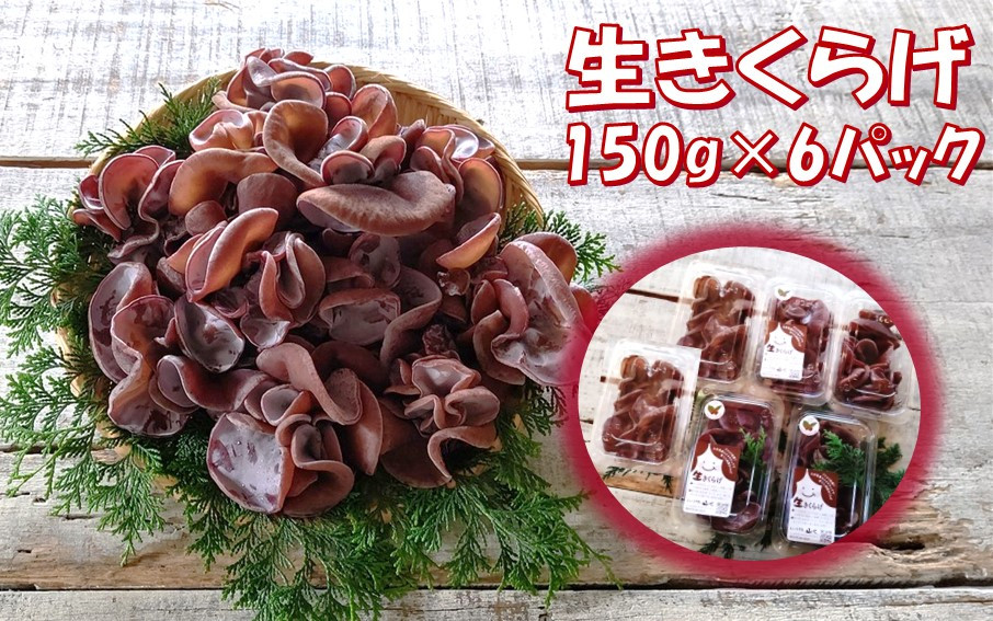 【希少/申込9月15日まで】純国産 生きくらげ900g（150ｇ×6パック）_1798R
