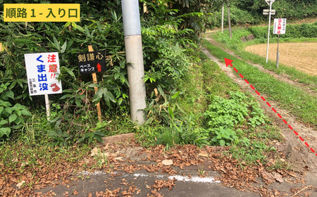 剣謙心バギーツアー45分 2人乗り用 運転手(16歳以上)＋同乗者(4歳～10歳）【011S123】