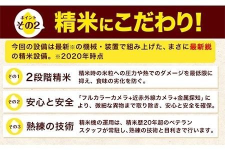  令和5年産 ひのひかり 選べる精米方法 白米 or 無洗米 10kg《30日以内に出荷予定(土日祝除く)》5kg×2袋  熊本県産 米 精米 ひの 御船町---mf_hn5_23_11500_10kg_30d---