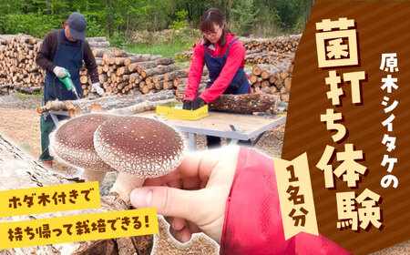 原木シイタケの菌打ち体験＆自分で菌打ちしたホダ木付き | 北海道拓殖バス [BNBJ001]