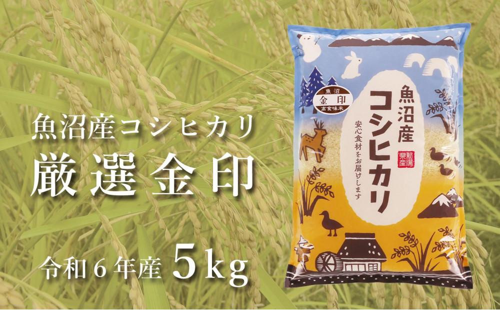 
            ＜令和6年産＞魚沼産コシヒカリ「金印」高食味米 5kg
          