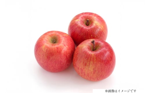 【期間限定発送】 りんご 高畠町産 サンふじ りんご 12～18玉 計 5㎏ [JA山形おきたま 山形県 高畠町 tk06ays870005] 果物 くだもの フルーツ 林檎 リンゴ ふじ ふじりんご 産地直送