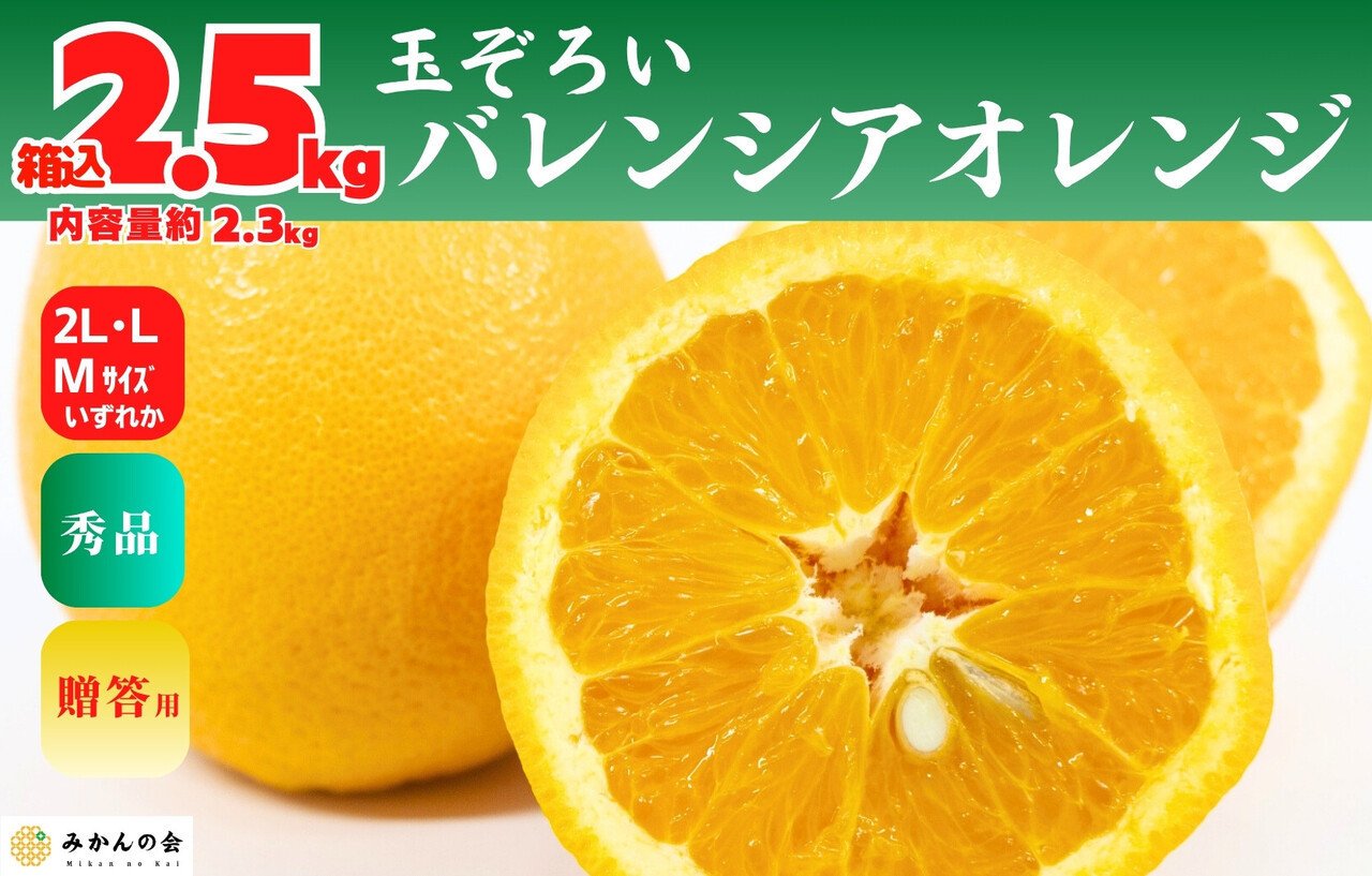 
            バレンシアオレンジ 国産 玉ぞろい 秀品 箱込 2.5kg (内容量 2.3kg ) 2L L M サイズのいずれか 和歌山県産 産地直送【みかんの会】
          