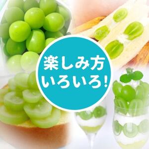 【2024年先行受付】山梨県山梨市産　シャインマスカット　粒　約1kg【配送不可地域：離島】【1459681】