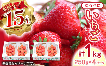 【先行予約】【2025年12月より順次発送】ゆうべに いちご 計1kg いちご いちご いちご いちご いちご [YBI029]