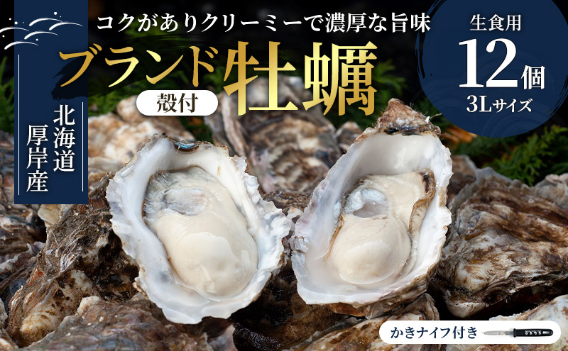 北海道厚岸産 生食用 殻付カキ 3Lサイズ  12個　マルえもん 魚貝類 海の幸 海のミルク 海鮮 国産 北海道産 オイスター つまみ お酒 あて 肴 生牡蠣 メルマガ掲載商品1