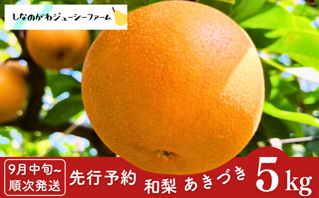 先行予約 和梨 あきづき 約5kg [9月中旬から発送予定] 贈答用 新潟県 三条市産 梨 [しなのがわジューシーファーム]【015S133】