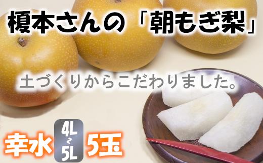【幸水（4L～5L）5玉】土づくりからこだわる！榎本さんの「朝もぎ梨」　【11246-0379】