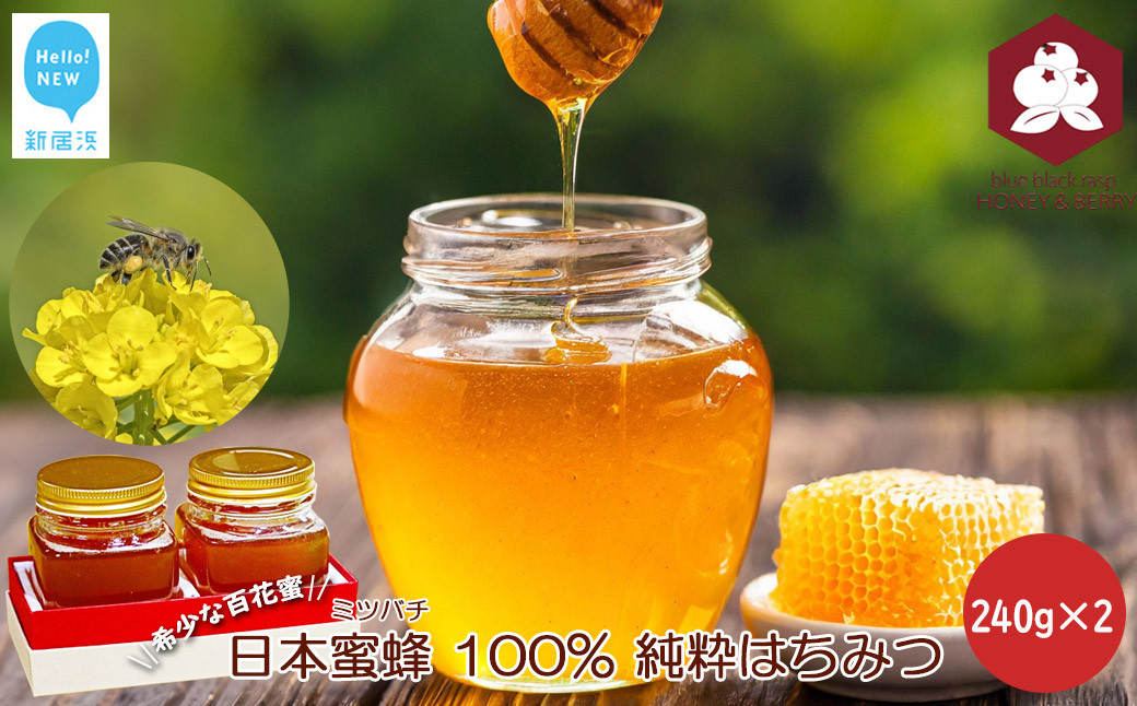 
                  日本蜜蜂 100% 純粋 はちみつ 非加熱 240g×2 希少 国産 蜂蜜 ハチミツ
                