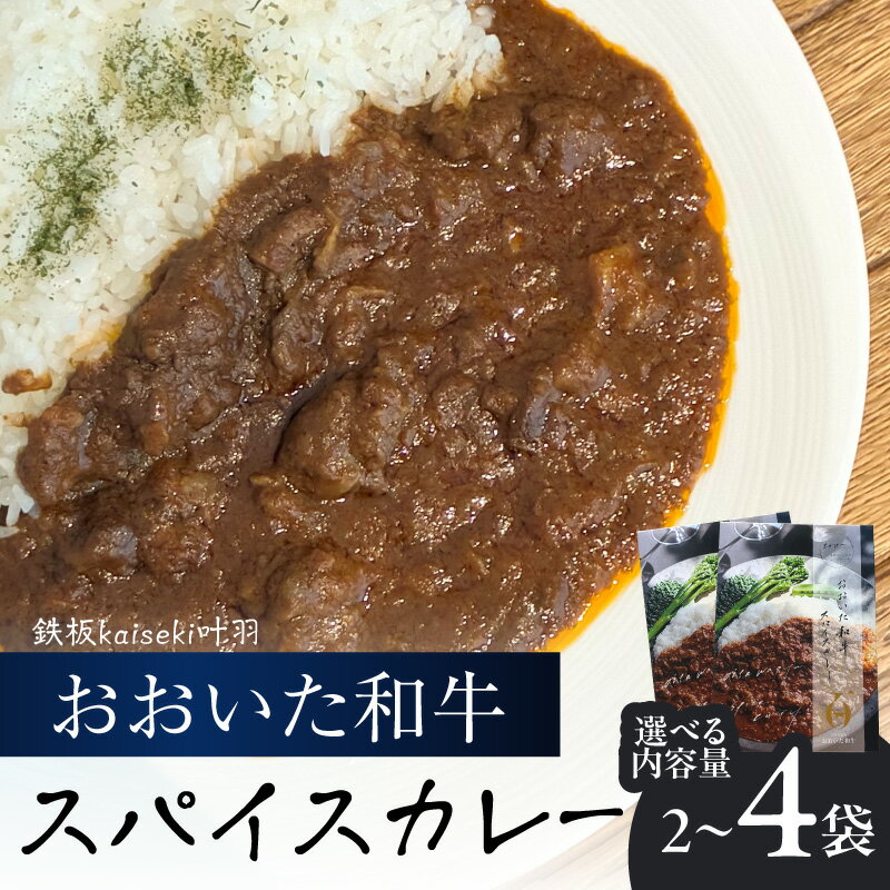 【ふるさと納税】おおいた和牛 スパイスカレー【選べる内容量】2袋～ レトルト レンジ レンチン 湯煎 食事 おおいた和牛 国産 辛口 スパイシー 牛肉 牛すじ肉 牛スープ プレゼント 贈答 鉄板kaiseki 叶羽 K03037