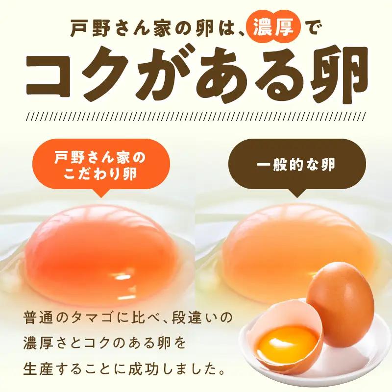 戸野さん家のこだわりタマゴ 定期便 60個×全6回 Mサイズ 合計 360個【毎月配送コース】