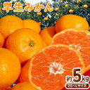 【ふるさと納税】早生 みかん 約 5kg (2S～Lサイズ) どの坂果樹園《12月上旬-1月末頃出荷》 和歌山県 日高町 みかん 早生 旬 柑橘 フルーツ 果物 蜜柑 ミカン 先行予約
