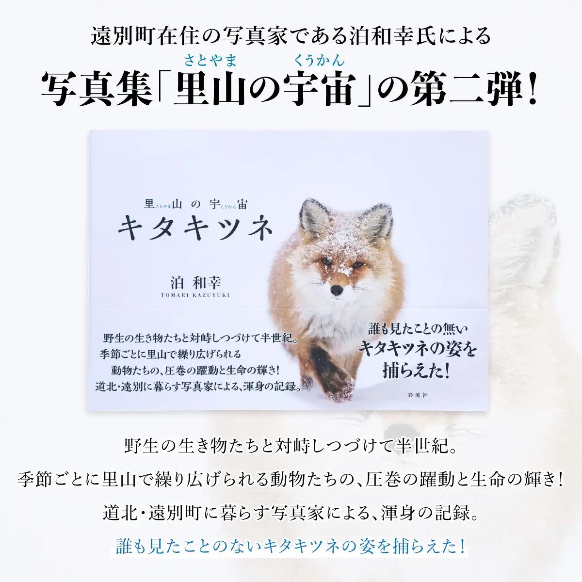 【野生塾】里山の宇宙（さとやまのくうかん）　キタキツネ【泊和幸　野生塾】