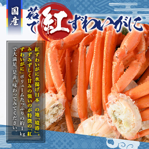 ＜土日祝着＞＜6～8月配送不可＞茹で紅ずわいがに肩足(約1kg・5～9肩)国産 魚介 海鮮 蟹 かに カニ ベニズワイガニ 新鮮 ボイル 冷蔵 ギフト【sm-AA008-B】【いたくら】