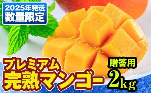 【2025年発送】数量限定！プレミアム完熟マンゴー2kg　贈答用
