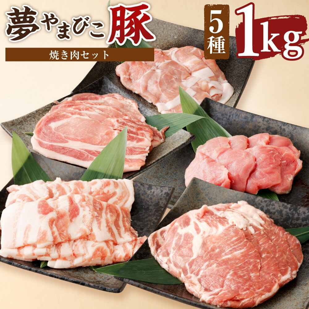 【ふるさと納税】夢やまびこ豚 焼肉セット 1.0kg 合計1kg 5種類 (ロース・肩ロース・バラ・ヒレ・小間切れ) 豚肉 肉 詰め合わせ セット 焼肉用 焼き肉 BBQ 小分け 真空パック 冷蔵 送料無料