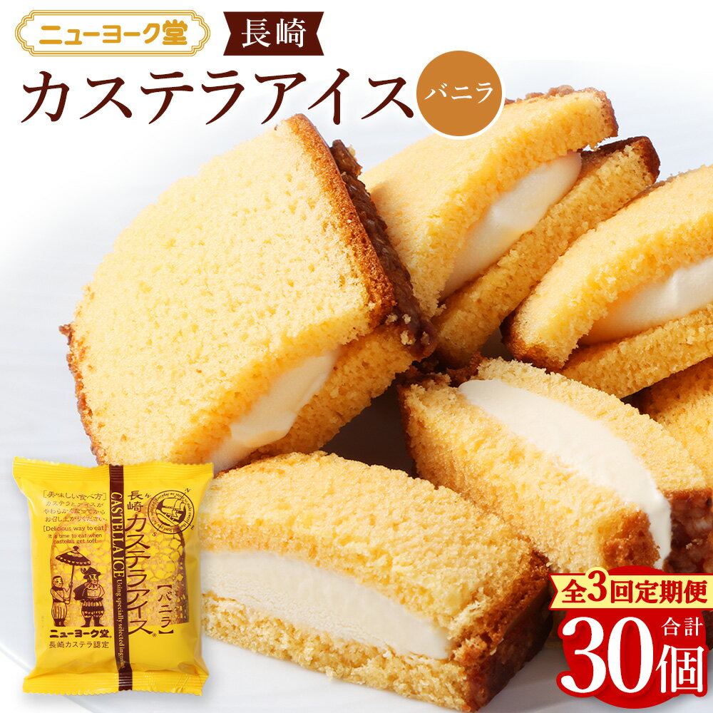 【ふるさと納税】【全3回定期便】長崎カステラアイス(バニラ) 計10個 (×3回) カステラ カステラアイス アイス アイスクリーム スイーツ デザート バニラ お菓子 長崎 送料無料