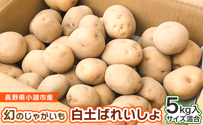 
            幻のじゃがいも　白土ばれいしょ[№5915-1227]
          