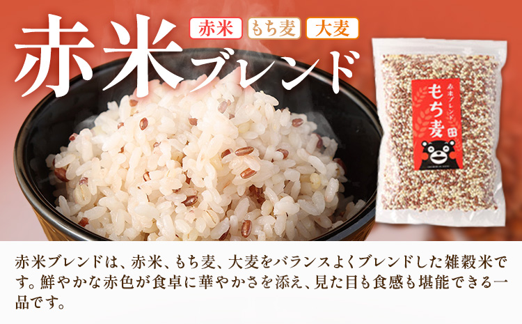 もち麦入り雑穀米 贅沢ブレンド 600g×3種類 各1袋 合同会社くまもとごはん《30日以内に出荷予定(土日祝除く)》熊本県菊池産 残留農薬不検出 真空パック 便利なチャック付 お米 もち麦 雑穀米 