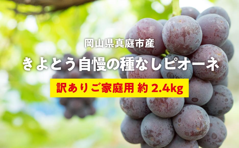 
            KF-B074-01【きよとうファーム】訳あり 種なしピオーネ 約2.4kg (岡山県産)
          