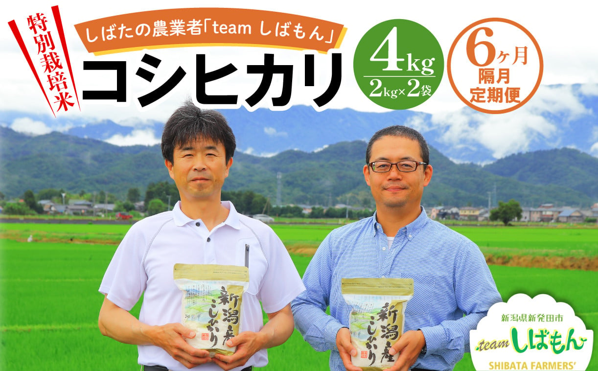 
            【R7年産先行予約】 新米 隔月定期便 4kg×隔月6回 新潟県産 特別栽培米コシヒカリ 新潟県 新潟産 新発田産 米 コシヒカリ 特別栽培米 しばもん 2kg 6回 定期便 隔月 D35_02
          