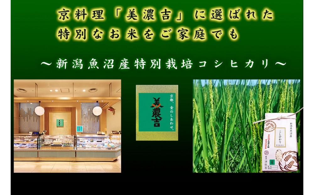 【ふるさと納税】【令和7年産米】魚沼津張屋 特別栽培津南認証米魚沼産コシヒカリ 5kg×1袋 株式会社ごはん