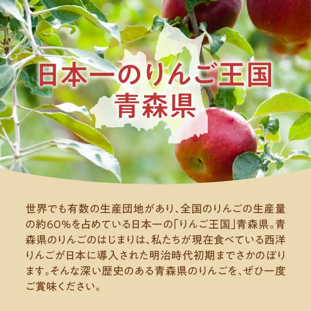 【2026年10月中旬発送】【訳あり】 りんご 10kg 紅玉 アップルパイ に最適 青森 不揃い