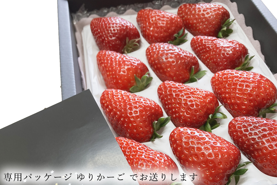 【先行予約】【古都華】1パック 2026年2月発送 ///苺 いちご イチゴ ストロベリー  古都華 奈良 奈良県 広陵町 生産者直送  直送 厳選 数量限定 旬 フルーツ 甘い 完熟 果物