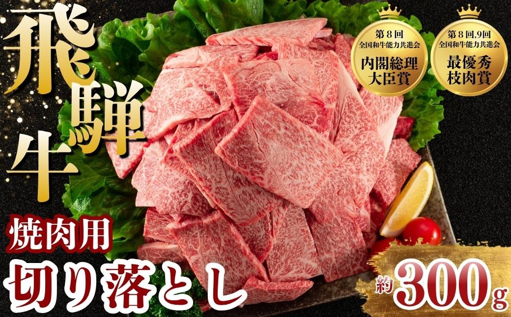
                  飛騨牛 焼肉 切り落とし 300g | 牛肉 肉 切落し 飛騨牛 訳あり 訳アリ わけあり ワケアリ 不揃い 冷凍  まるたか 食品 バーベキュー BBQ 家用 家庭用 岐阜 瑞穂市
                