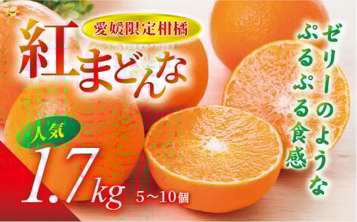 
            【先行予約】【数量限定】紅まどんな 1.7kg（5～10個）愛果28号 愛媛果試第28号 みかん 柑橘 人気 愛媛 伊予市＜2025年11月下旬から順次発送＞｜B36
          