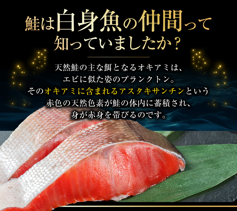 【極味】BIgサイズ一汐紅鮭切り身（厚切り）2切入真空×5袋 ふるさと納税 サケ 鮭 _F4F-7957