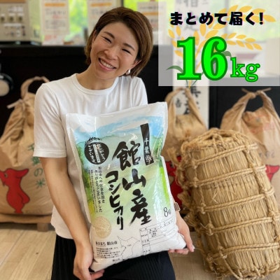 吉田米屋イチオシ!白米16kg つやつや館山産コシヒカリ1等米