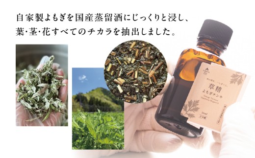 年末配送【12月21日～12月31日お届け】草精よもぎチンキ30ml よもぎ エキス エッセンス 抽出液 国産 よもぎ 岐阜県産 郡上市産 自然栽培 全草 よもぎ（葉 茎 花）入浴用 風呂 ルームスプ
