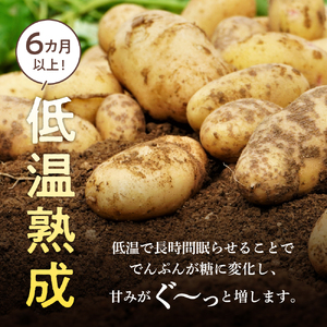 【先行予約】【2025年2月より順次発送】じゃがいも なまら十勝野の 越冬 メークイン 10kg 低温熟成 芋 ジャガイモ ポテト イモ いも 産地直送 新鮮 野菜 食材 おかず カレー シチュー グ