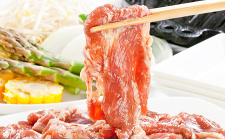 タレにこだわり！ 特撰ラムジンギスカン 計900g (300g × 3個)