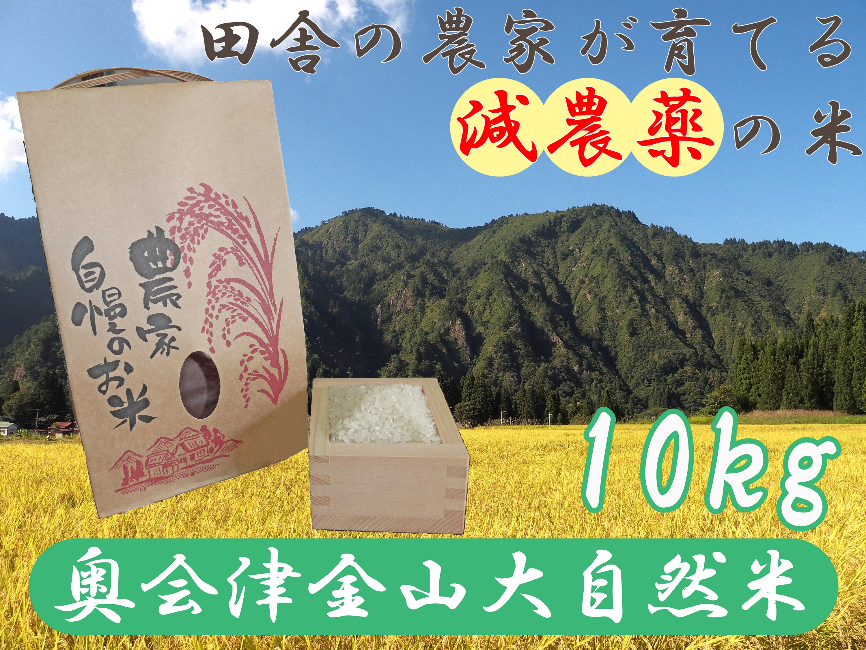 
            【令和6年産】奥会津金山大自然米コシヒカリ１０ｋｇ
          