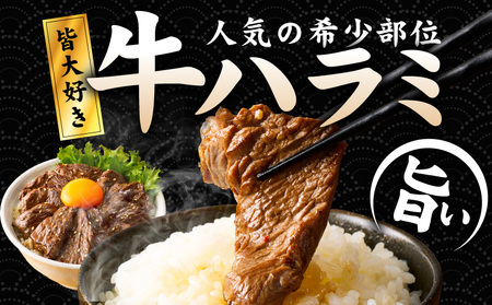 【満足牛ハラミ】中辛タレ漬け 合計2kg 【味付け ハラミ 小分け 焼くだけ 簡単調理 BBQ 牛肉 250g×8P】