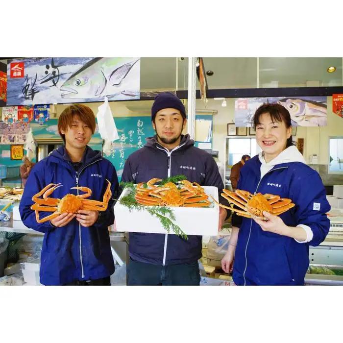 先行予約 訳あり 松葉ガニ ボイル 2枚 年内配送 カニ