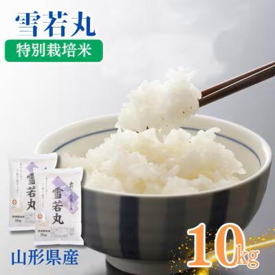 ふるさと納税 南陽市 令和7年産　山形県産　特別栽培米　雪若丸 5kg×2袋(精米)(10月下旬以降)【S2407】