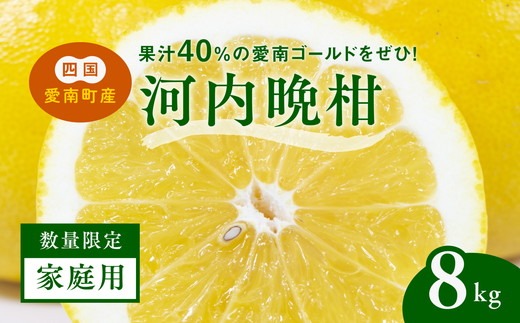 【先行予約】【家庭用】河内晩柑8kg ｜ 河内晩柑 訳あり 正品 贈答 柑橘 みかん 愛南ゴールド サイズミックス 規格外 ※離島への配送不可 ※2026年5月上旬～6月下旬頃に順次発送予定