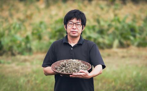 《天然・無農薬栽培》  ビワの葉茶「きりしま日和」ティーパックタイプ(1.5g×60包) 国産の健康茶 [びわ 琵琶の葉 枇杷の葉 薬草茶 日本産 お茶 ノンカフェイン 『返礼品特集20000円以下』