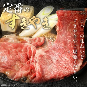 宮崎牛ウデスライス500g N0147-YA773