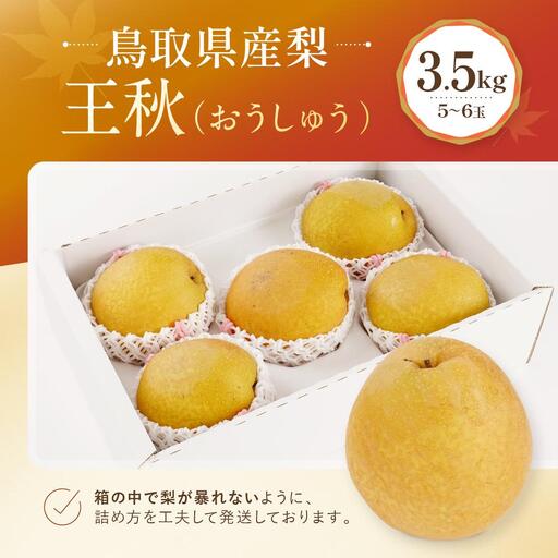 【先行予約】数量限定 鳥取県産梨 王秋（おうしゅう） 3.5kg（5～6玉）